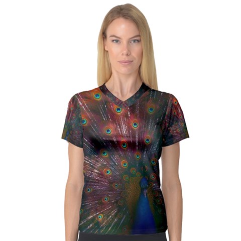 Peacock Feather Bird V-neck Sport Mesh T-shirt by Bedest