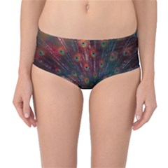 Peacock Feather Bird Mid-waist Bikini Bottoms by Bedest