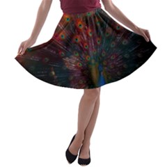 Peacock Feather Bird A-line Skater Skirt by Bedest