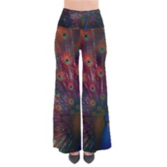 Peacock Feather Bird So Vintage Palazzo Pants by Bedest