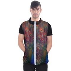 Peacock Feather Bird Men s Puffer Vest by Bedest