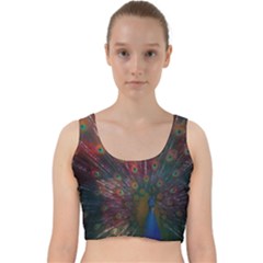 Peacock Feather Bird Velvet Racer Back Crop Top by Bedest