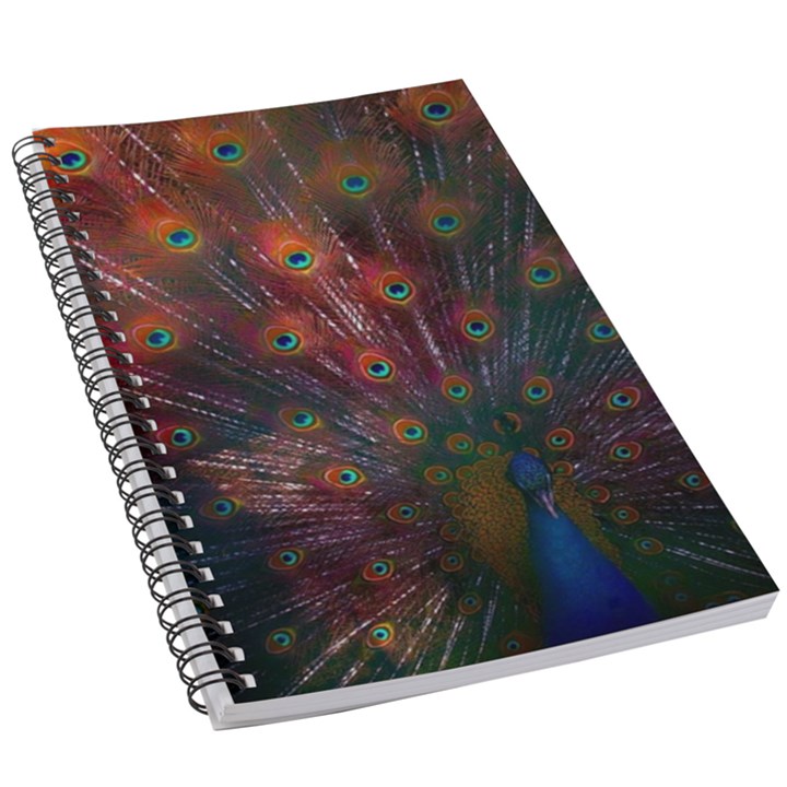 Peacock Feather Bird 5.5  x 8.5  Notebook