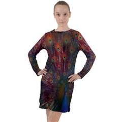 Peacock Feather Bird Long Sleeve Hoodie Dress by Bedest