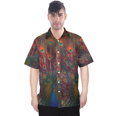 Peacock Feather Bird Men s Hawaii Shirt by Bedest