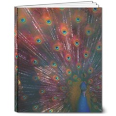 Peacock Feather Bird 8  X 10  Hardcover Notebook