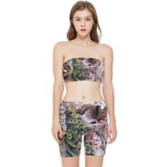 Japanese Painting Flower Peacock Stretch Shorts And Tube Top Set by Bedest