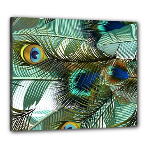 Peacock Feathers Canvas 24  X 20  (stretched)