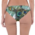 Peacock Feathers Reversible Hipster Bikini Bottoms View2