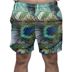 Peacock Feathers Men s Shorts