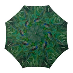 Peacock Paradise Jungle Golf Umbrellas by Bedest