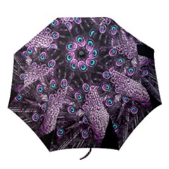 Purple Peacock Folding Umbrellas