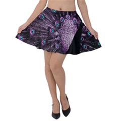 Purple Peacock Velvet Skater Skirt by Bedest