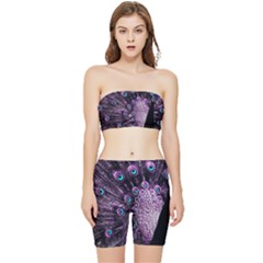 Purple Peacock Stretch Shorts And Tube Top Set by Bedest