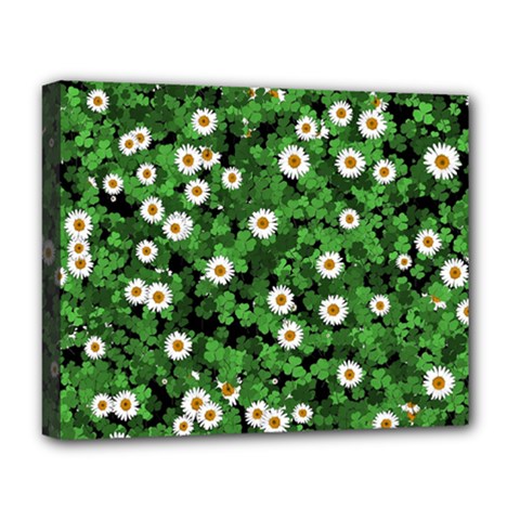 Daisies Clovers Lawn Digital Drawing Background Deluxe Canvas 20  X 16  (stretched) by Ravend