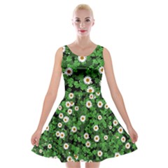 Daisies Clovers Lawn Digital Drawing Background Velvet Skater Dress