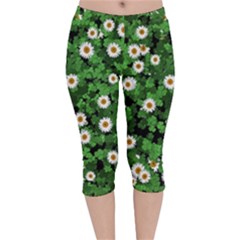 Daisies Clovers Lawn Digital Drawing Background Velvet Capri Leggings  by Ravend