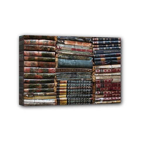 Pile Of Books Photo Of Assorted Book Lot Backyard Antique Store Mini Canvas 6  X 4  (stretched) by Ravend