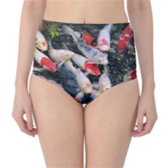 Koi Fish Nature Classic High-waist Bikini Bottoms by Ndabl3x