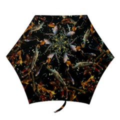 Shoal Of Koi Fish Water Underwater Mini Folding Umbrellas by Ndabl3x