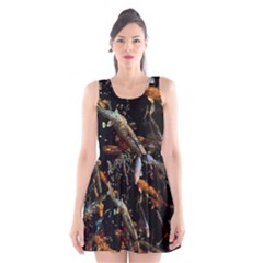 Shoal Of Koi Fish Water Underwater Scoop Neck Skater Dress by Ndabl3x