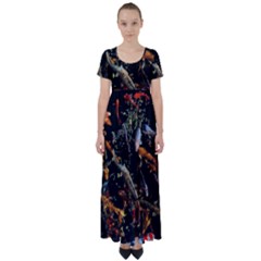 Shoal Of Koi Fish Water Underwater High Waist Short Sleeve Maxi Dress by Ndabl3x