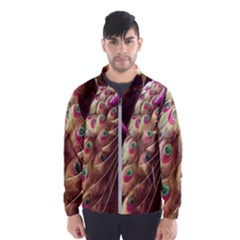 Peacock Dream, Fantasy, Flower, Girly, Peacocks, Pretty Men s Windbreaker by nateshop