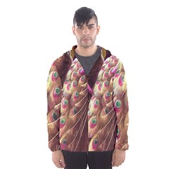 Peacock Dream, Fantasy, Flower, Girly, Peacocks, Pretty Men s Hooded Windbreaker by nateshop