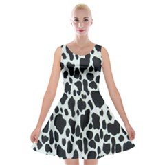 Black And White Cow Print 10 Cow Print, Hd Wallpaper Velvet Skater Dress by nateshop