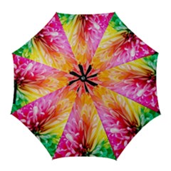 Abstract, Amoled, Back, Flower, Green Love, Orange, Pink, Golf Umbrellas by nateshop