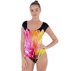 Abstract, Amoled, Back, Flower, Green Love, Orange, Pink, Short Sleeve Leotard  by nateshop