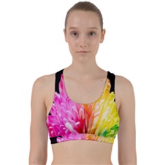 Abstract, Amoled, Back, Flower, Green Love, Orange, Pink, Back Weave Sports Bra by nateshop