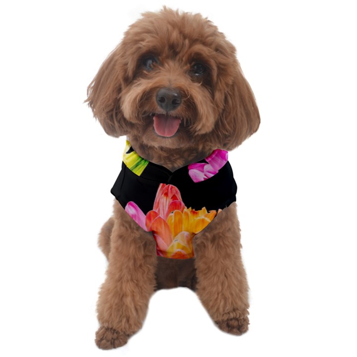 Abstract, Amoled, Back, Flower, Green Love, Orange, Pink, Dog Sweater