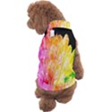 Abstract, Amoled, Back, Flower, Green Love, Orange, Pink, Dog Sweater View2