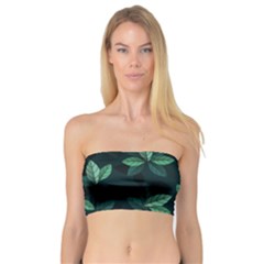 Foliage Bandeau Top