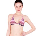 Aesthetic Landscape Vintage Cartoon Classic Bikini Top View1