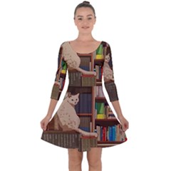 Library Aesthetic Quarter Sleeve Skater Dress by Sarkoni