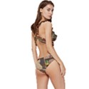 Library Aesthetic Low Cut Ruffle Edge Bikini Set View3