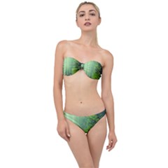 Trees Forest Artwork Nature Beautiful Landscape Classic Bandeau Bikini Set by Sarkoni