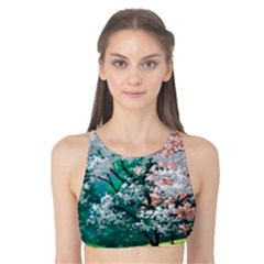 Anime Scenery Landscape Tank Bikini Top by Sarkoni