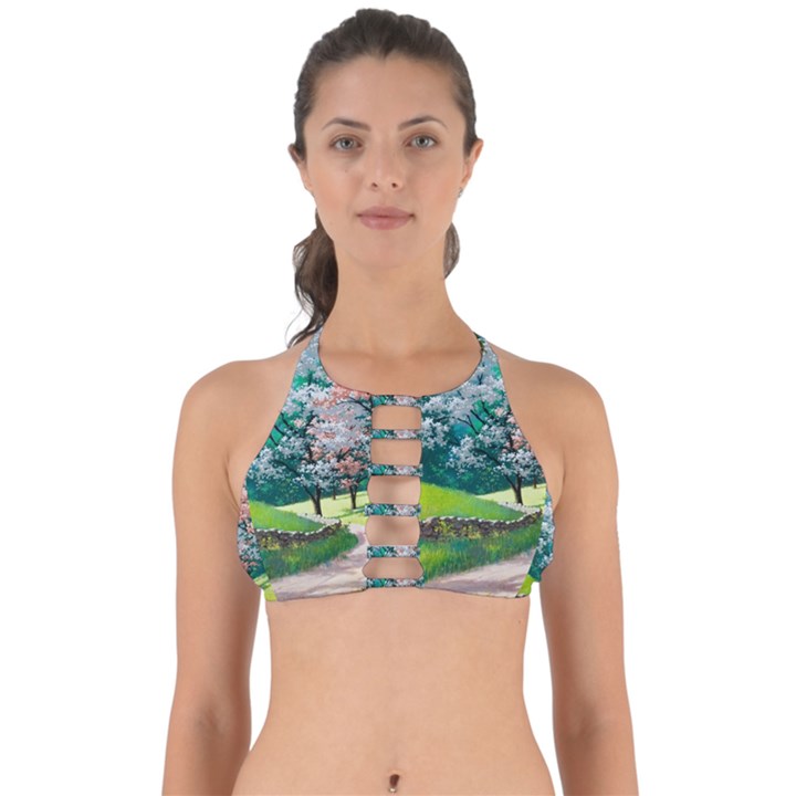 Anime Scenery Landscape Perfectly Cut Out Bikini Top