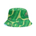 Golf Course Par Golf Course Green Bucket Hat View2