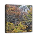 Wilderness Palette, Tierra Del Fuego Forest Landscape, Argentina Mini Canvas 6  x 6  (Stretched) View1