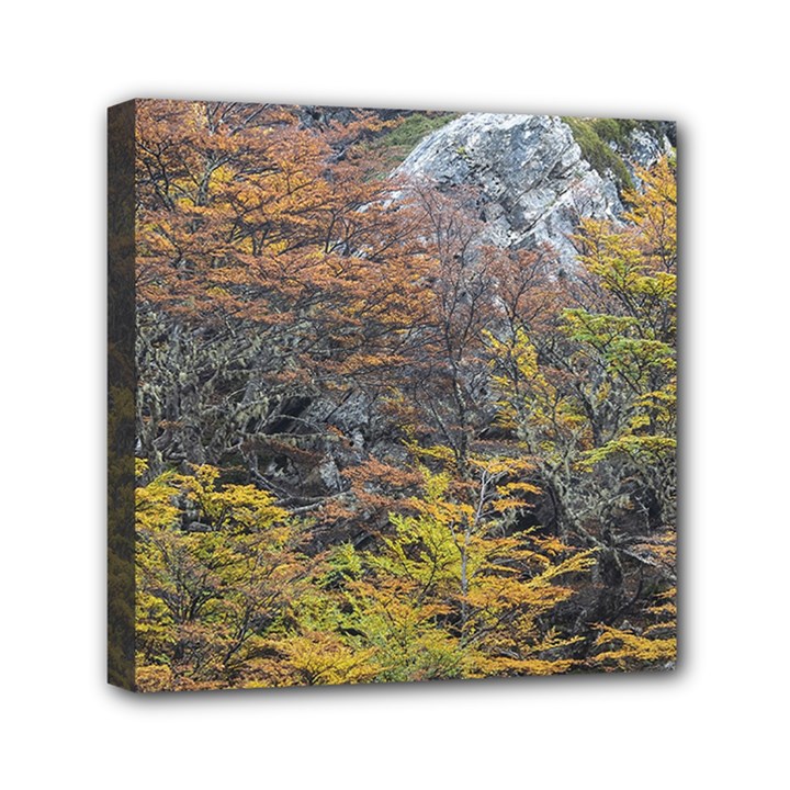 Wilderness Palette, Tierra Del Fuego Forest Landscape, Argentina Mini Canvas 6  x 6  (Stretched)