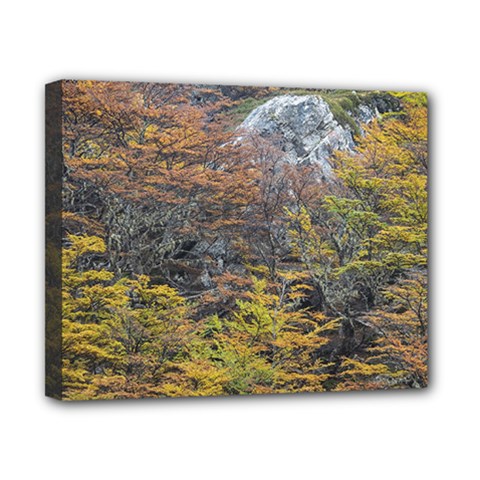 Wilderness Palette, Tierra Del Fuego Forest Landscape, Argentina Canvas 10  X 8  (stretched) by dflcprintsclothing