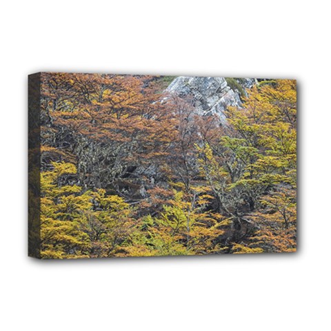 Wilderness Palette, Tierra Del Fuego Forest Landscape, Argentina Deluxe Canvas 18  X 12  (stretched) by dflcprintsclothing