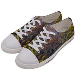 Wilderness Palette, Tierra Del Fuego Forest Landscape, Argentina Women s Low Top Canvas Sneakers