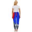 Abstract Circles, Art, Colorful, Colors, Desenho, Modern Women s Cropped Drawstring Pants View4