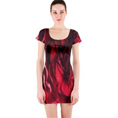 Followers,maroon,rose,roses Short Sleeve Bodycon Dress by nateshop