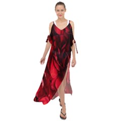 Followers,maroon,rose,roses Maxi Chiffon Cover Up Dress by nateshop